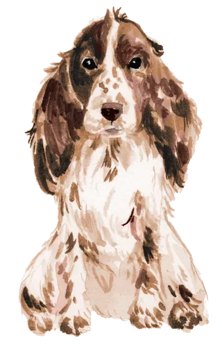 狗狗水彩画插画免扣素材可爱宠物狗