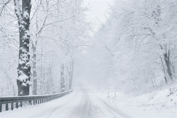 雪天道路两旁风景