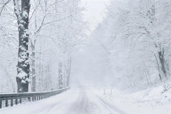 雪天道路两旁风景