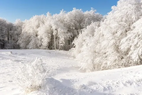 冬天自然背景风景 冬天自然背景风景