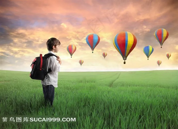 站在绿草丛中的小男孩图片