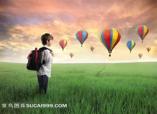 站在绿草丛中的小男孩图片