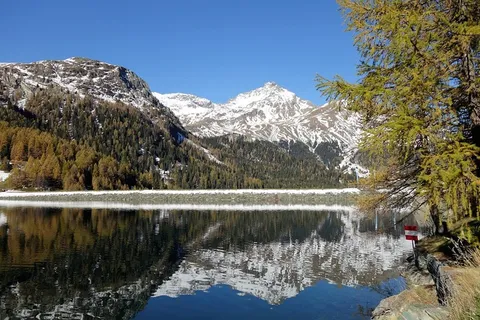 冬天白雪背景风景 冬天白雪背景风景