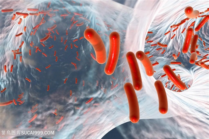 医疗主题生物研究高清图片