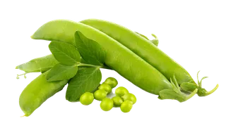 荷兰豆 (6)超市商品白底图免抠实物摄影png格式图片透明底