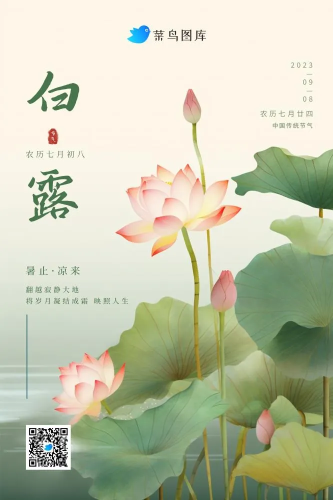 白露意境国潮荷花睡莲淡雅节气海报(2362x3543)psd模版下载