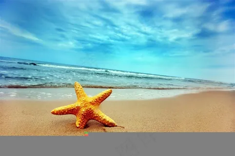 黄色海星沙滩蓝天白云高清图片素材 黄色海星沙滩蓝天白云高清图片素材