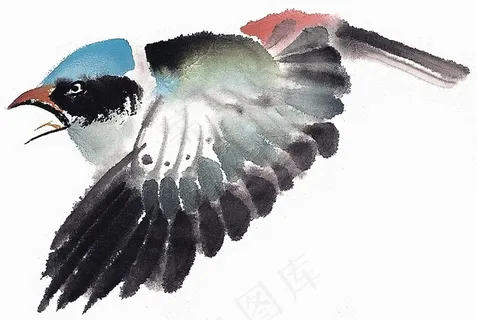 鸟禽系列jpg素材