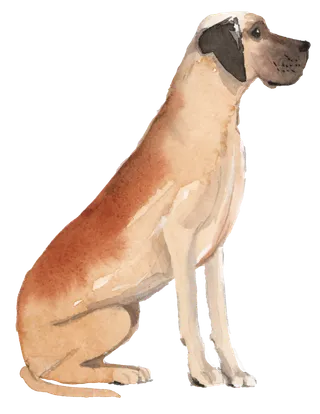 狗狗水彩画插画免扣素材可爱宠物狗