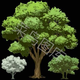 插画风格大树橡树免抠素材