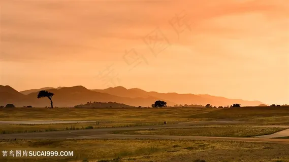 黄昏草地风景画壁纸