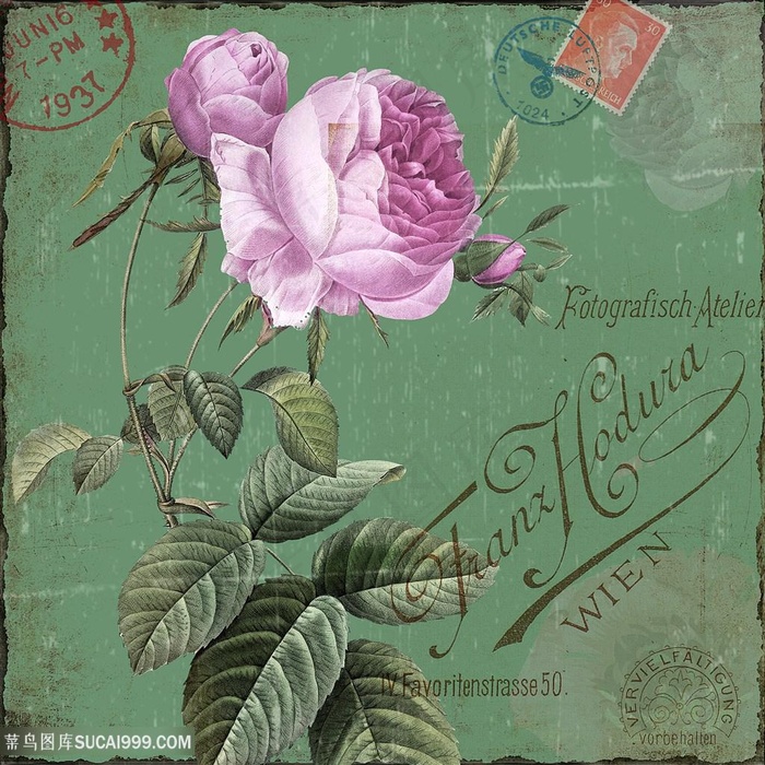 欧式花朵装饰画