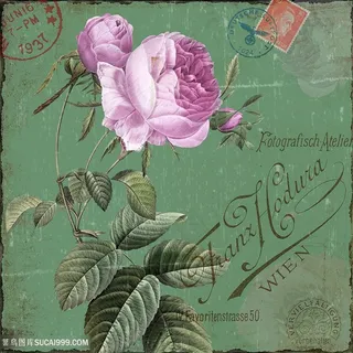 欧式花朵装饰画