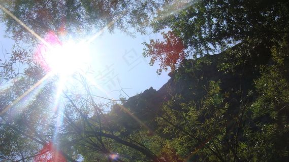 阳光明媚图片下载