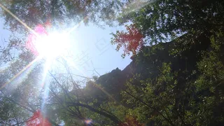 阳光明媚图片下载