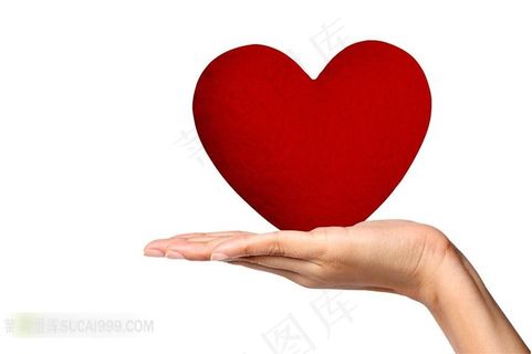 手捧红心图片素材