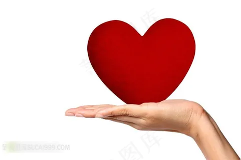 手捧红心图片素材