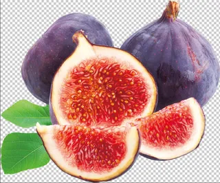 无花果免扣素材