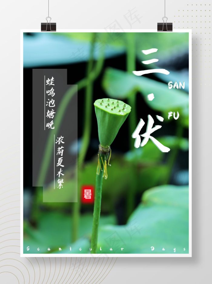 三伏天摄影图海报