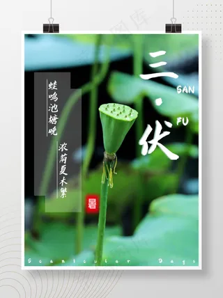 三伏天摄影图海报