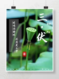 三伏天摄影图海报 三伏天摄影图海报