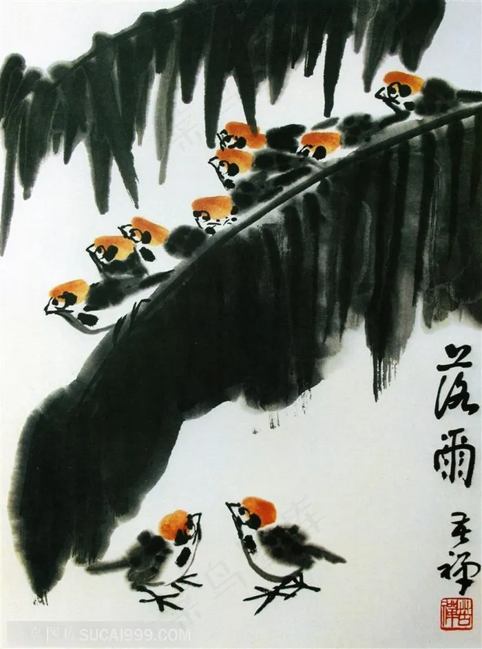中国国画水墨画 芭蕉落雨