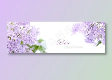 紫色植物花朵花瓶素材图片