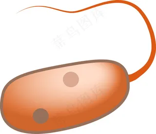 细菌细胞卡通图片素材