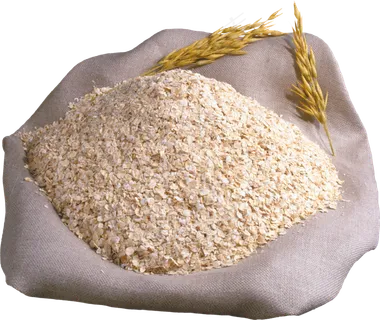 免抠农家小麦实物摄影