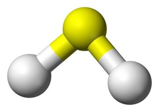 分子 PNG免抠