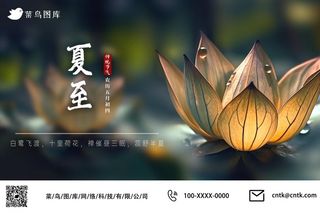 夏至节气睡莲莲花素净淡雅公众号海报