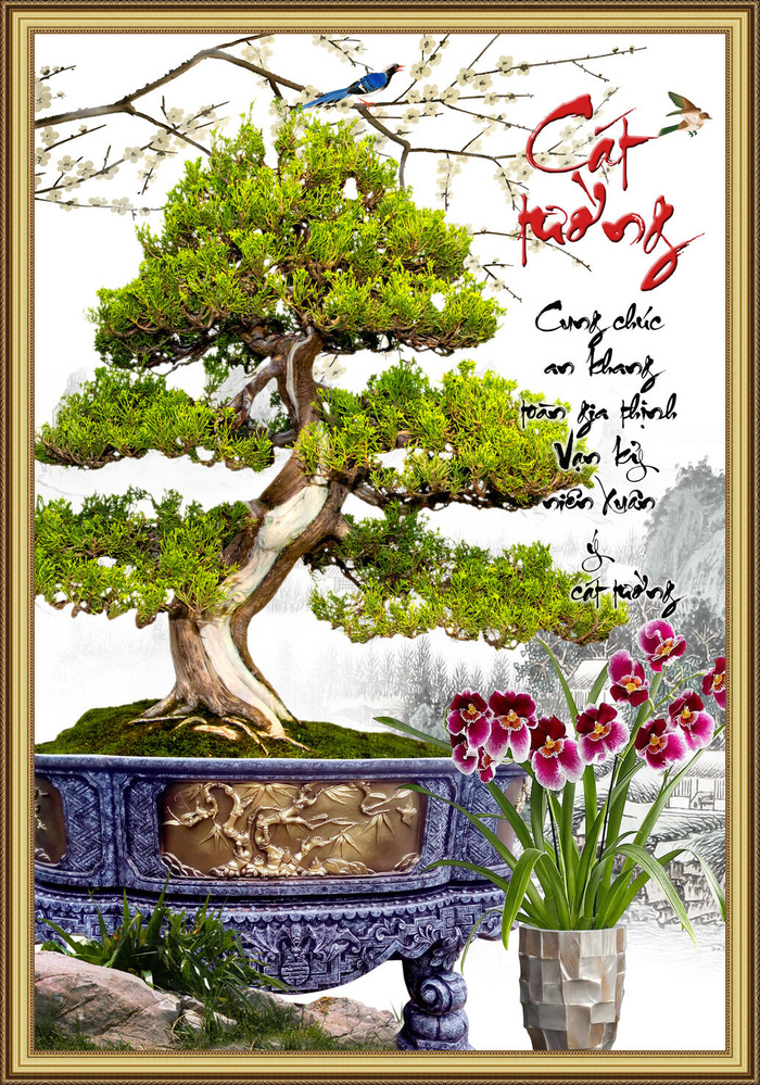 盆栽树发财树财宝背景