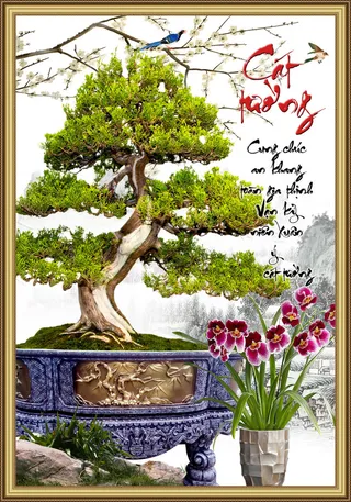 盆栽树发财树财宝背景