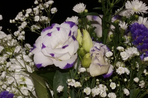 38妇女节鲜花素材 38妇女节鲜花素材