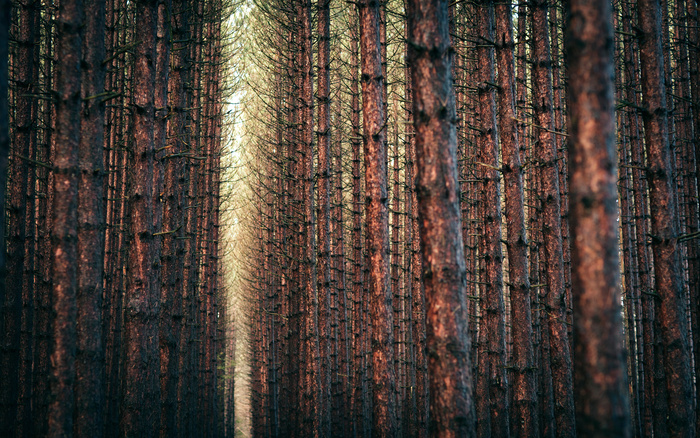 壁纸|风光|风景|桌面|1920x1200