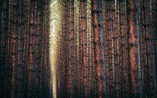 壁纸|风光|风景|桌面|1920x1200