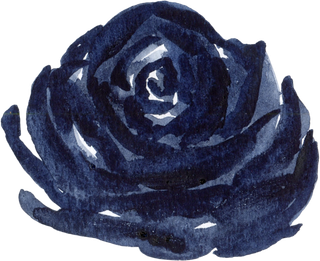 海军蓝金线水彩花卉素材