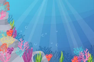 可爱生物卡通海底