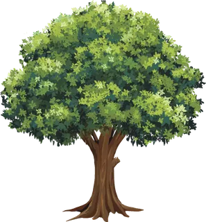 树木树枝树叶免扣素材