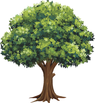 树木树枝树叶免扣素材