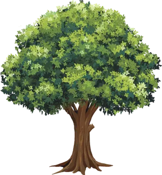 树木树枝树叶免扣素材