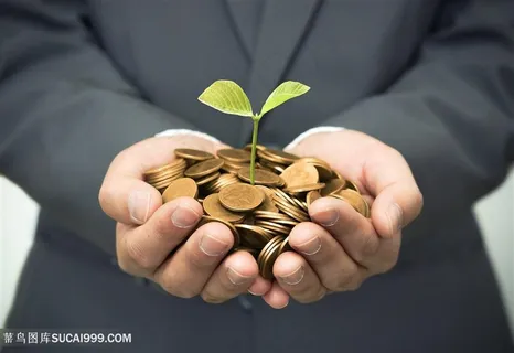 金币上的幼苗与商务人士高清图