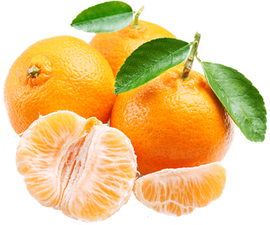 橘子免抠素材 (49)