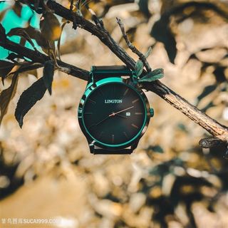 挂在树上的运动手表图片