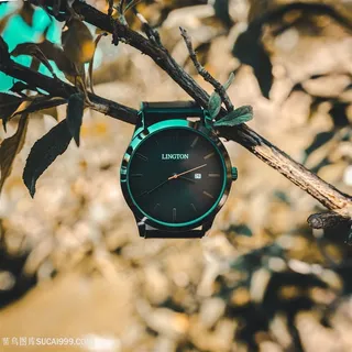 挂在树上的运动手表图片