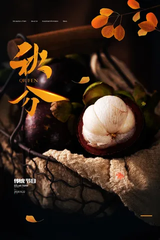 大气秋分节气营销活动海报