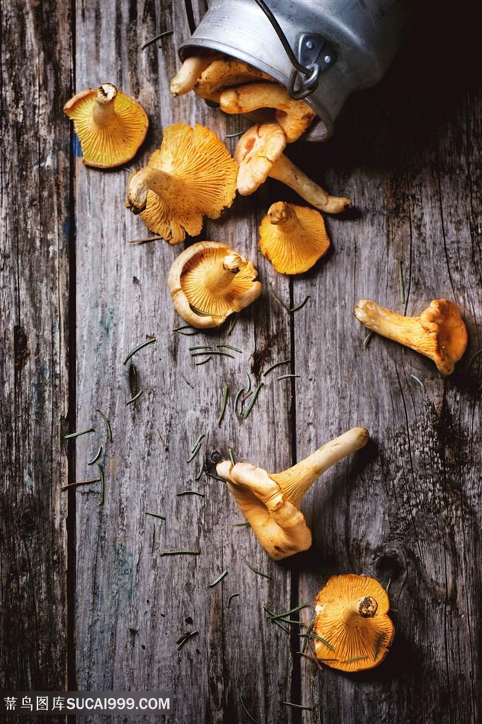 可口蘑菇美食食材高清图
