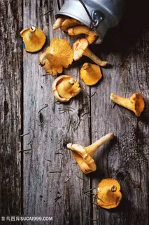 可口蘑菇美食食材高清图