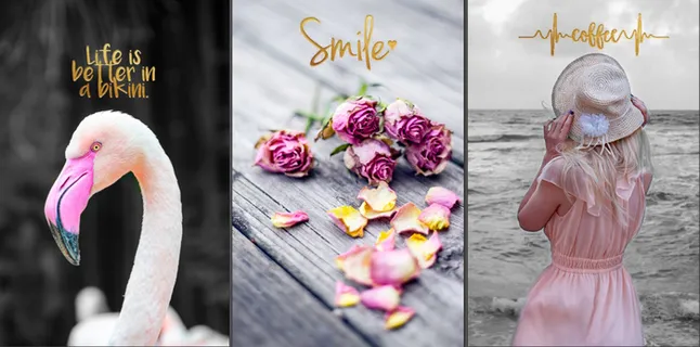 三联鸿鹤美女玫瑰装饰画