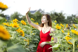 高清性感气质古典美女